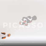 Premium Picasso Clownfish